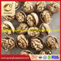 High Light Kernel Yield Walnut 185 Xin Jiang Origin